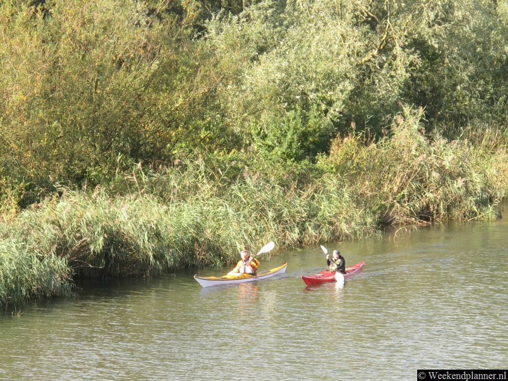 Vanuit Hank, een dorp in Noord-Brabant, ben je snel in één van de mooiste delen van de Biesbosch. In de jachthaven op Visserhang 2, Hank, kun je motorboten, kano's en kajaks huren. Ook vertrekken er elektrische rondvaartboten, de fluisterboten.Tips: De attracties van Nationaal Park de Biesbosch.